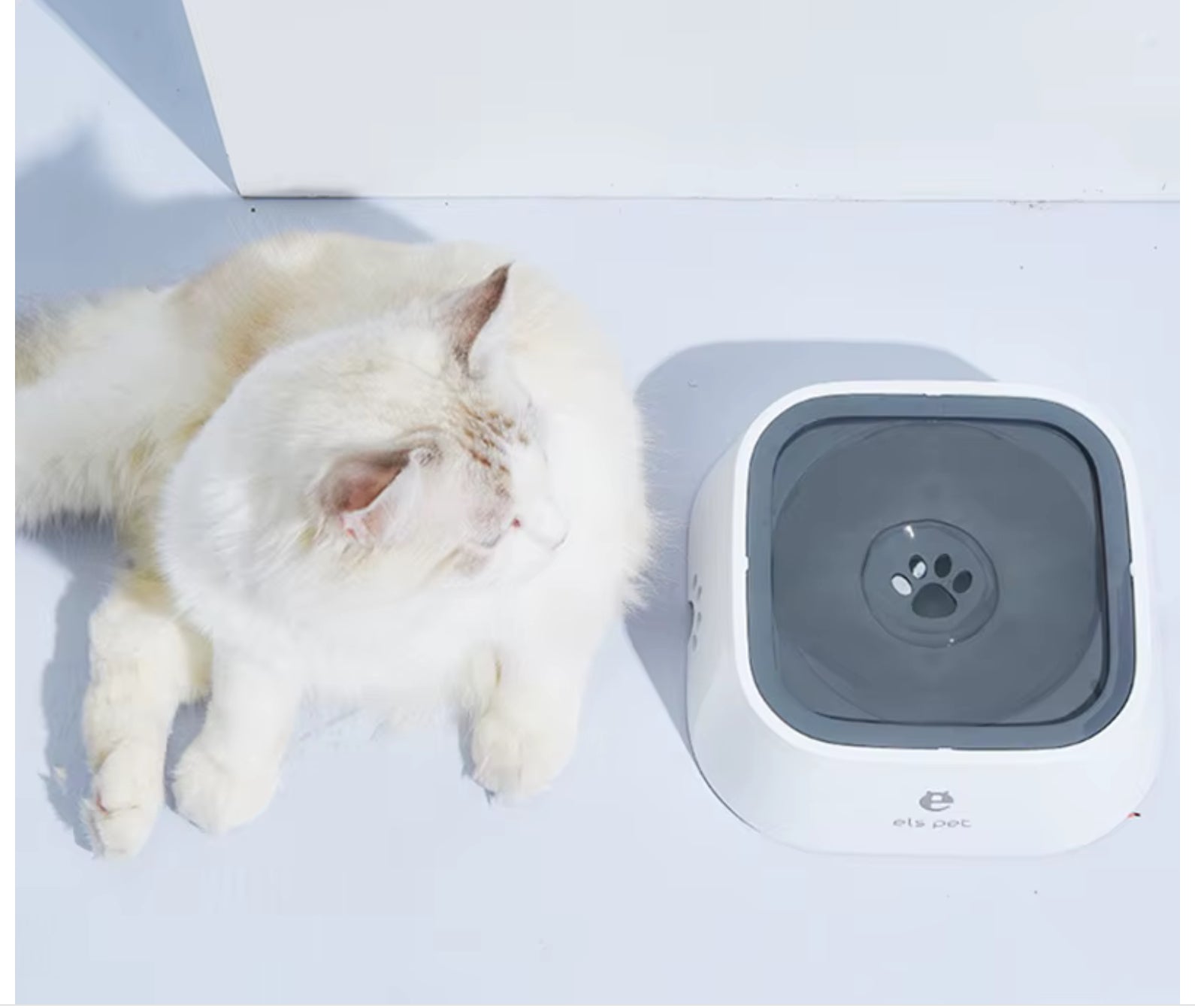 Spill-Proof Pet Bowl