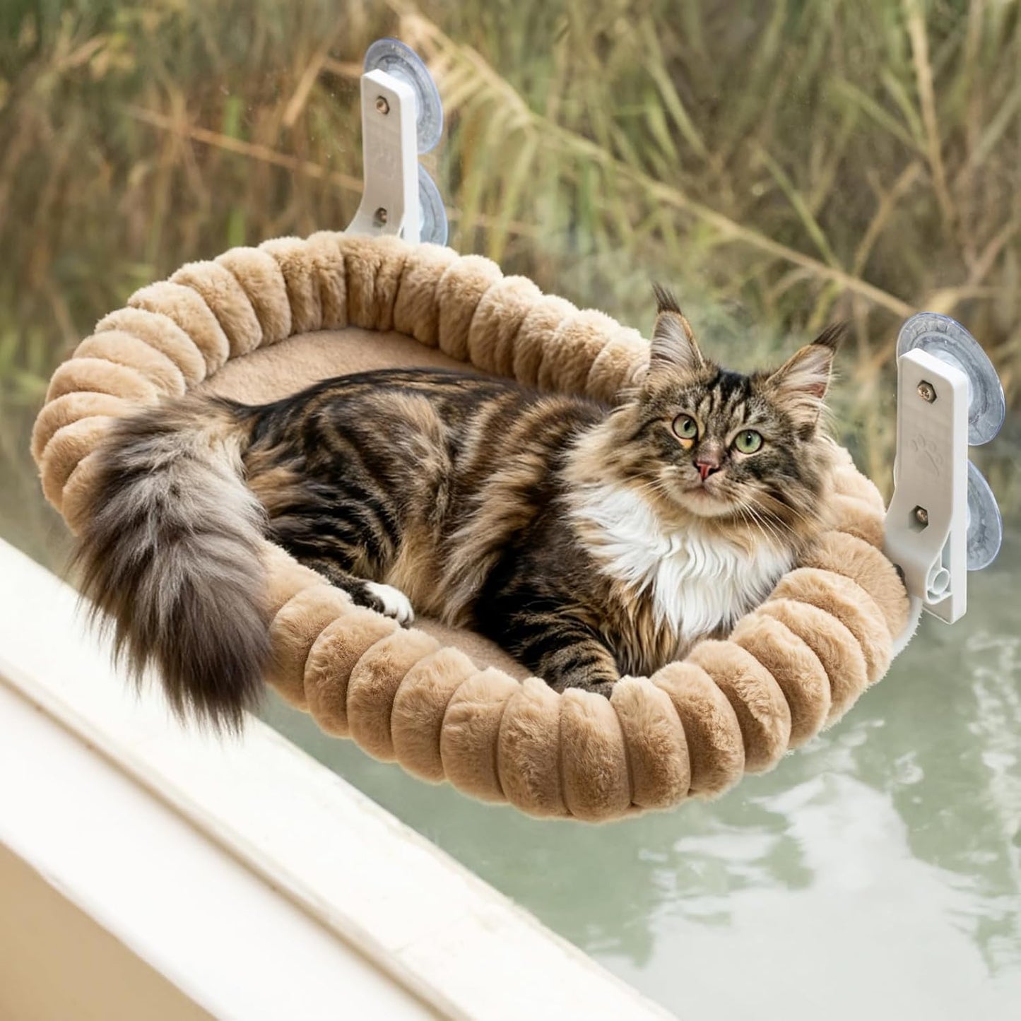 EDAGNY Katzen Fensterliege Hängematte Weich Mit Abnehmbarem Wendebezug - Katzen Hängematte Fenster Mit Stabiles Stahlgestell Halt Bis 18Kg, Creme M
