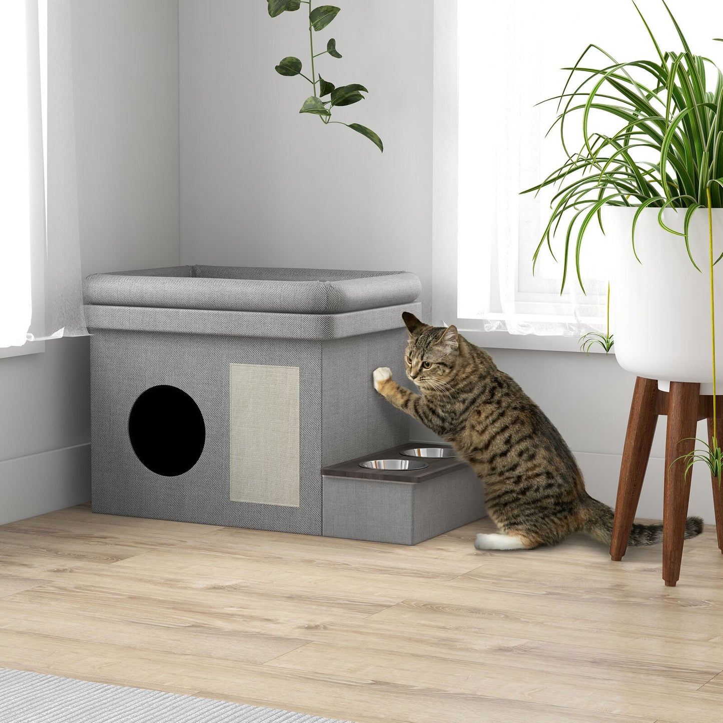 Majestic Paws-A Stylish Sanctuary for Your Feline