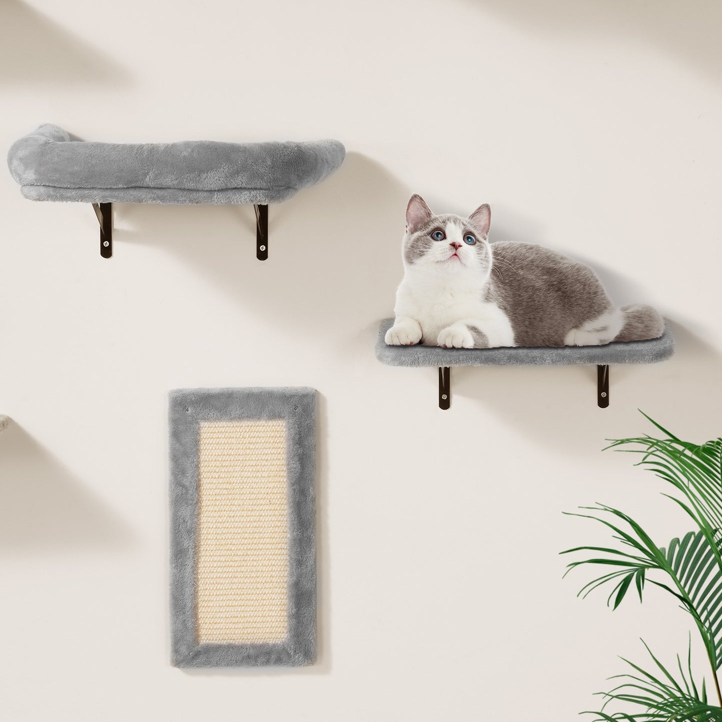 Kletterwand Katzen Wandliege Katzenliege Katzenbett Katzenregal 6Er-Set