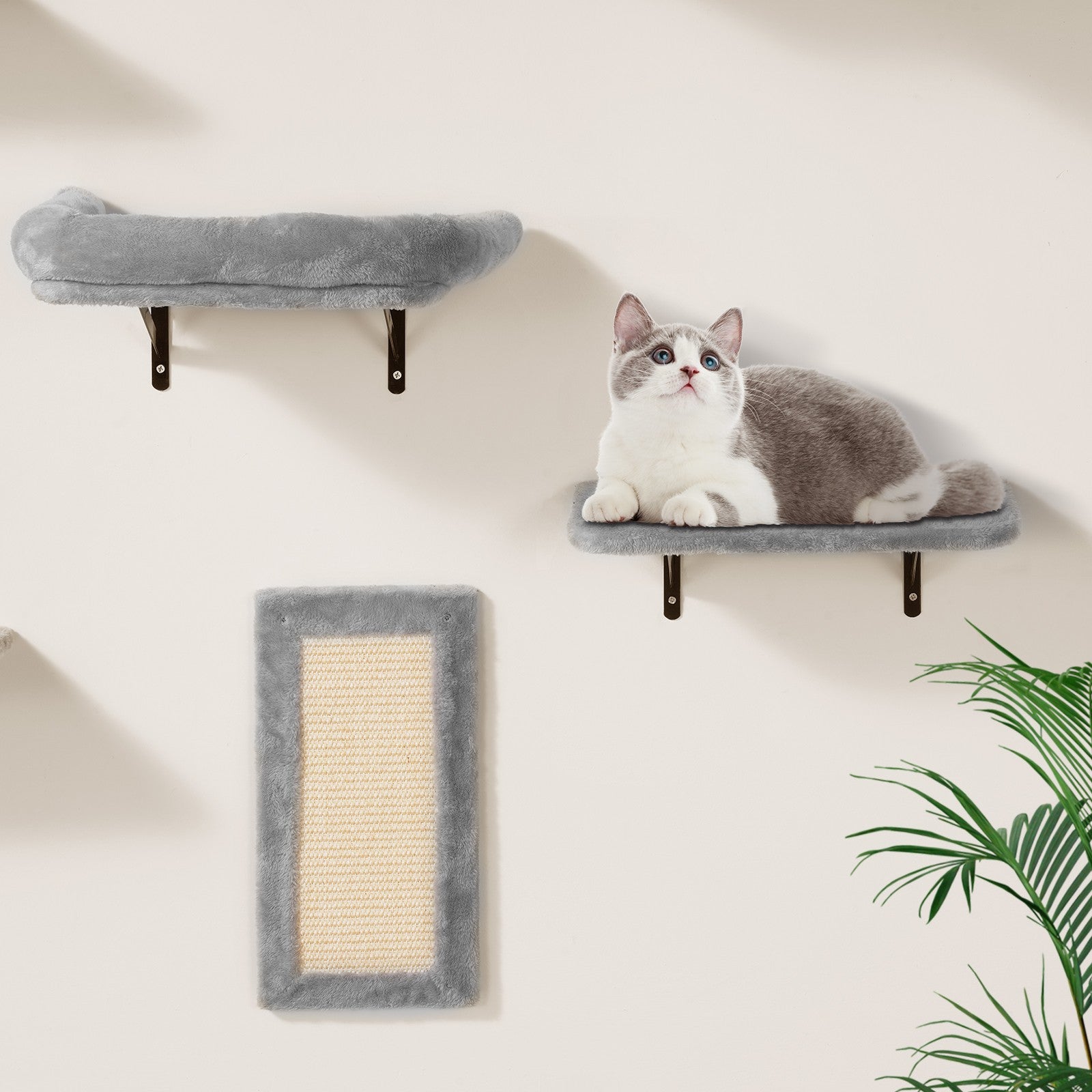 Kletterwand Katzen Wandliege Katzenliege Katzenbett Katzenregal 6Er-Set