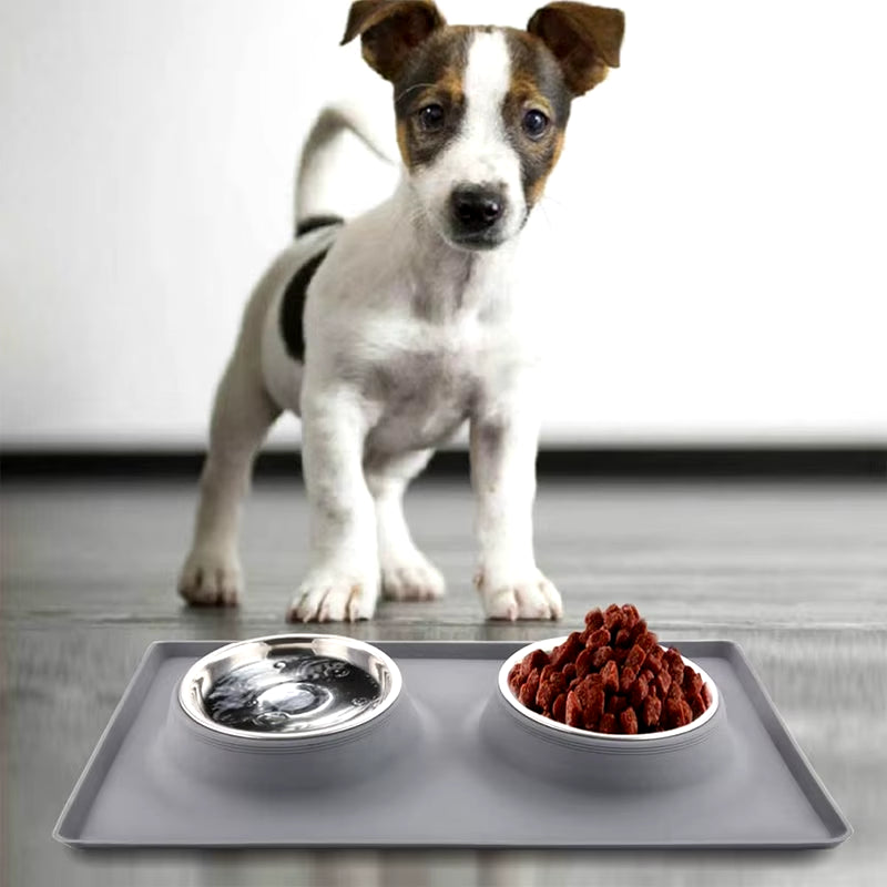 Stainless Steel Double Dog Bowl with Silicone Mat Nontoxic Nonslip No Spill Pet Water Food Bowl Cat Puppy Feed Drinking