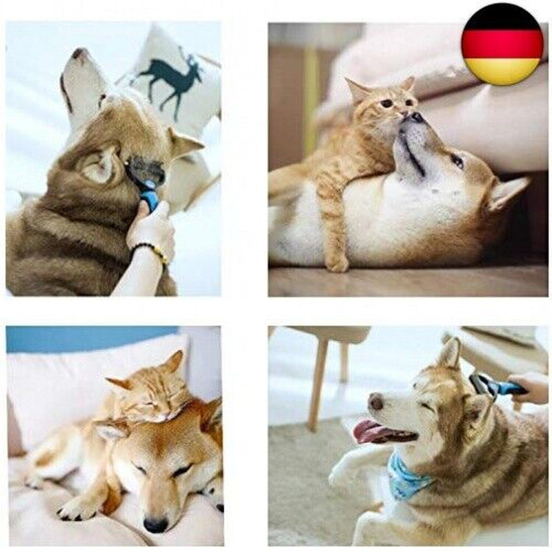 Premium Undercoat Brush