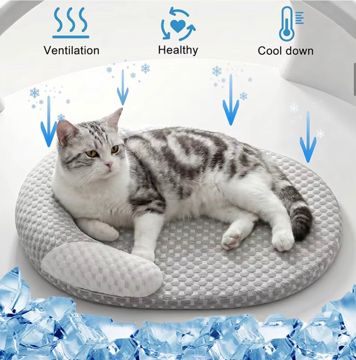 IceDream Cooling Bed