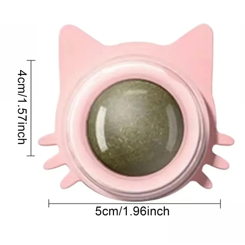 Katzen Minze Rolle 