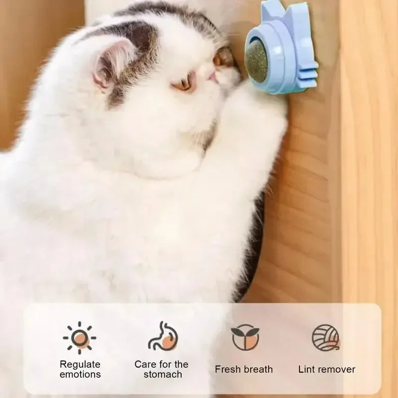 Katzen Minze Rolle 
