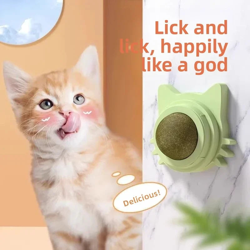 Katzen Minze Rolle 