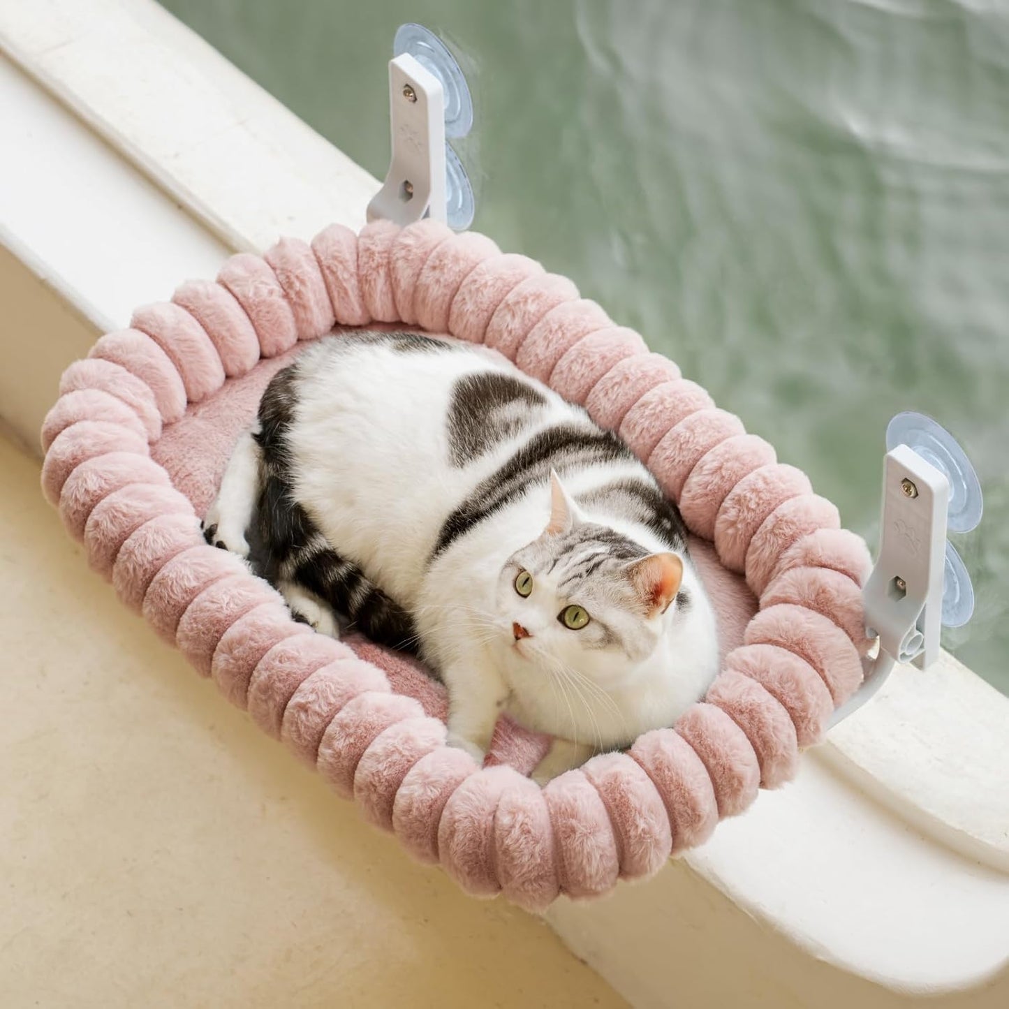 EDAGNY Katzen Fensterliege Hängematte Weich Mit Abnehmbarem Wendebezug - Katzen Hängematte Fenster Mit Stabiles Stahlgestell Halt Bis 18Kg, Creme M